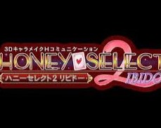 Honey Select Party