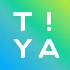 TIYA: Voice Chat Platform for Global Gamers