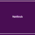 Netthorb Alternatives 