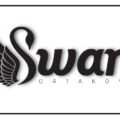 Design Swan Alternatives