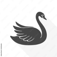 Design Swan