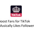 Boost Fans for TikTok Alternatives