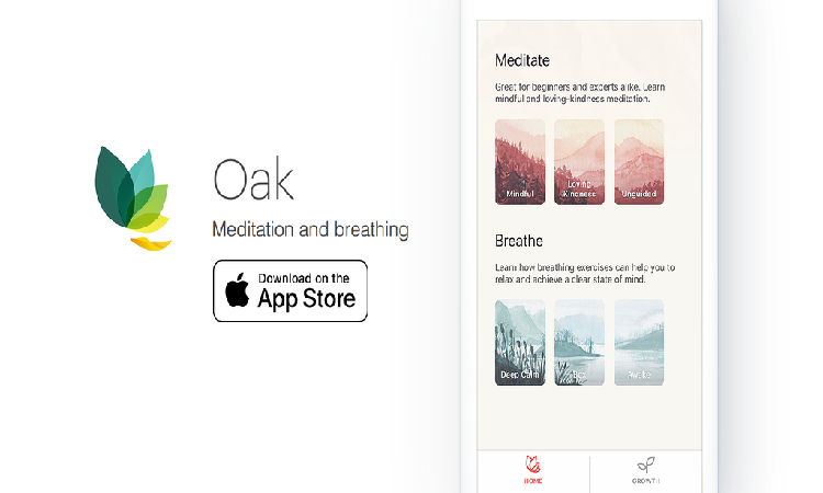 Oak: Meditation and Breathing Alternatives