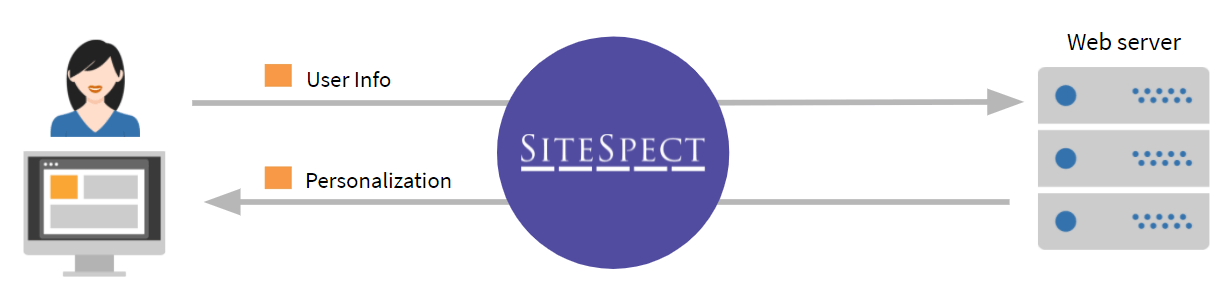 SiteSpect Alternatives