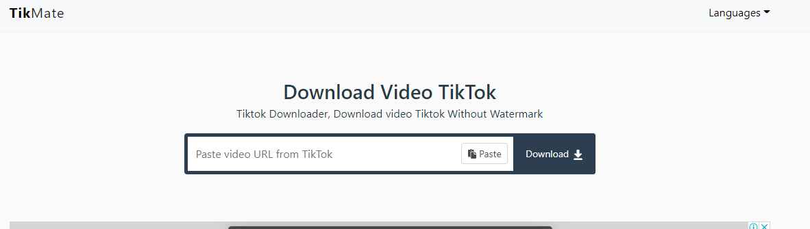 TikTok Downloader Alternatives