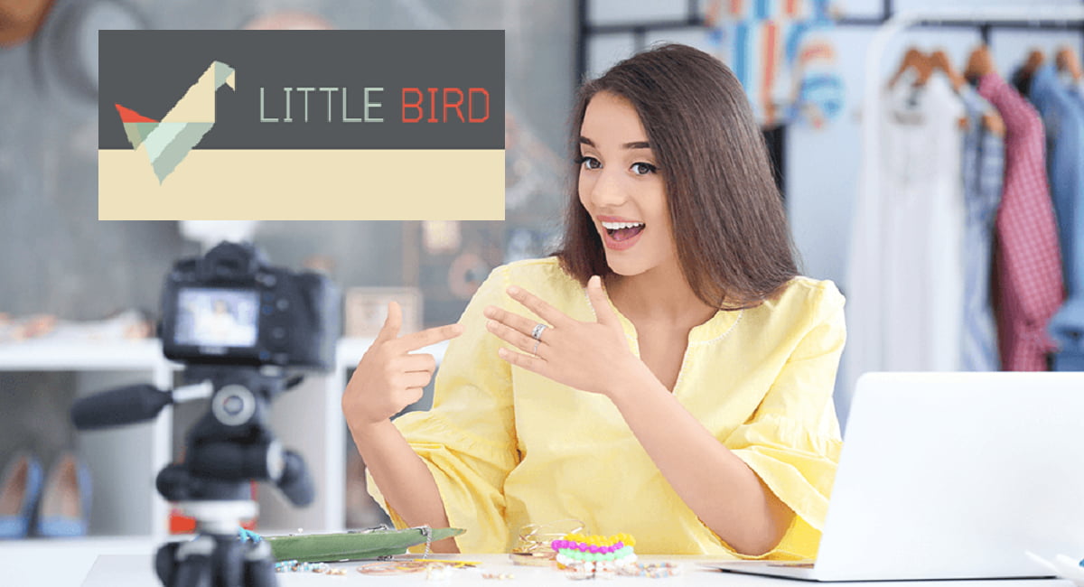 Little Bird Alternatives