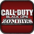 Call of Duty Black Ops Zombies