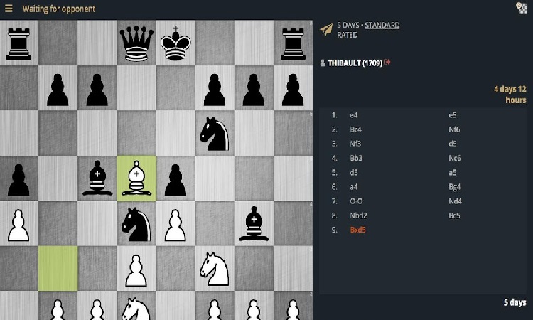 Chess: Offline Board Game Alternatives