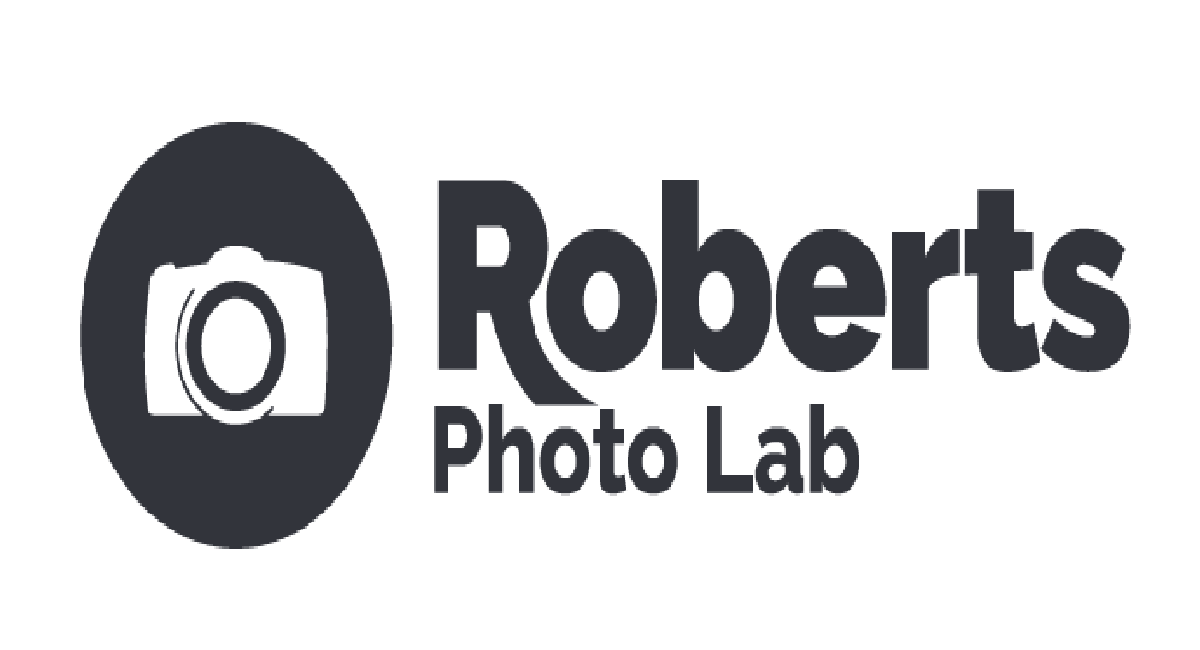 Roberts Camera Alternatives