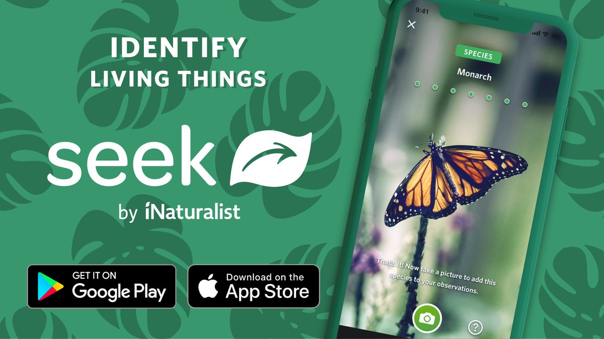 Seek by iNaturalist Alternatives