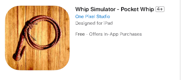 Whip Simulator Pocket Whip Alternatives