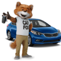 Carfax Report