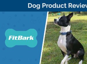 FitBark Dog GPS & Health